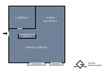 Duża kawalerka | Prywatny Parking | Park i Wisła