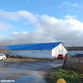 Magazyn, hala do wynajęcia 1000 m2 z obsługą magazynową 10km od A1