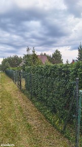 Uroczy dom w stylu leśniczówki w sercu Kaszub - blisko jeziora i lasu.