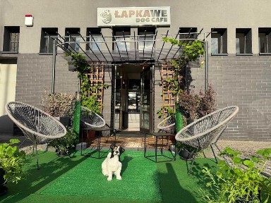 Odstąpię lokal 55 m² - czynsz 2150 zł - gastro/biuro/handel - centrum Katowic