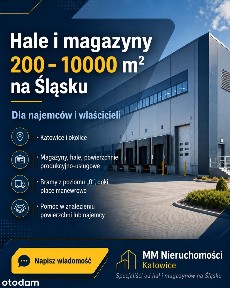 Magazyn do wynajęcia Katowice okolice A4 ok. 225 m2 biura socjal.