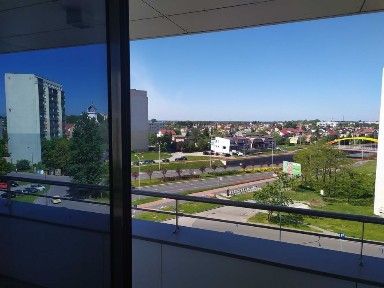 Lokal do wynajęcia