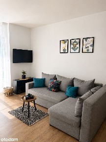 Mieszkanie 30m2 kawalerka na wynajem + ogródek Fredry 6G obok Bonarki