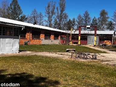 Hala z działką 10 700m2
