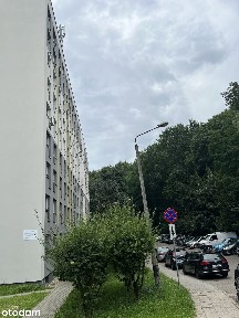 Piękne mieszkanie z widokiem na las