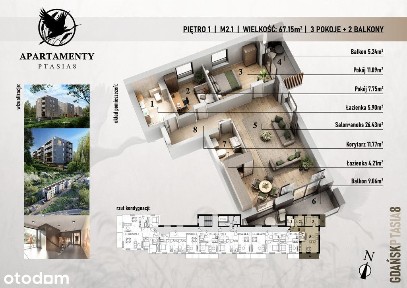 INWESTYCJA APARTAMENTY PTASIA