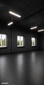 Lokal usługowy / hala 250 m2 / po remoncie