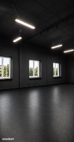Lokal usługowy / hala 250 m2 / po remoncie