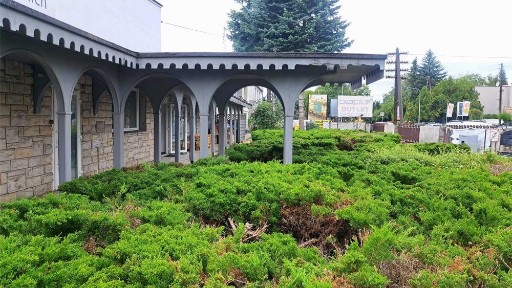 Atrakcyjny lokal 100m2 z witrynami,główna ulica,Swarzędz wolny od 1.10