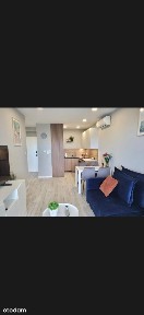 apartament wynajmę