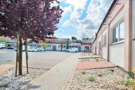 Wynajem-Lokal handlowo usługowy 100 m2