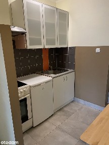 Park Szczytnicki, w pobliżu Ogrodu Japońskiego.
