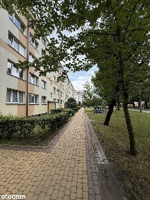 ***Centrum***Pierwsze Piętro***Bezpośrednio***Przy Politechnice***