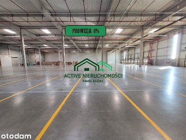 Magazyn, hala, 6900m2 + 160m2 biuro Modlniczka