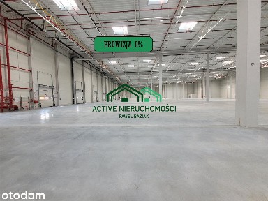 Powierzchnia magazynowa, hala, 2000m2, 0% Prowizji