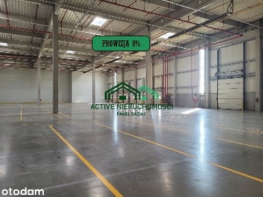 Magazyn, hala, 5700m2 + 109m2 biuro Modlniczka