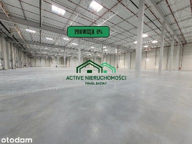 Powierzchnia magazynowa, hala, 2500m2, 0% Prowizji