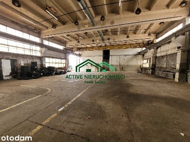 Hala produkcyjna, magazyn, suwnica, 580m2, Rybitwy