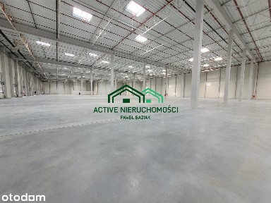 Powierzchnia magazynowa, hala, 3000m2, 0% Prowizji