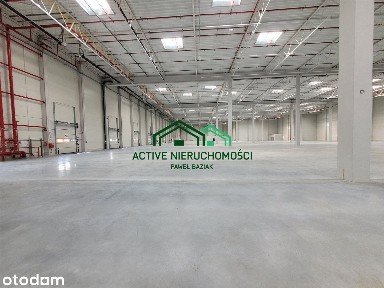 Powierzchnia magazynowa, hala, 4750m2, 0% Prowizji
