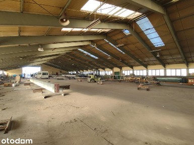 Hala/Magazyn, 1 520 m², Pacholewo