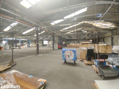Hala/Magazyn, 2 000 m², Poznań