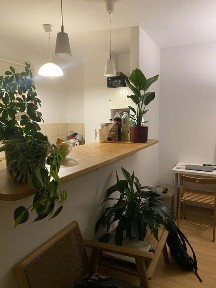 Kawalerka,40m,Bielany,parking w cenie.