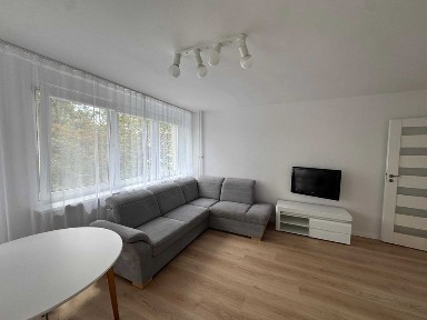 WYNAJEM| Mieszkanie 2-pok 46 m² | winda | Stare Miasto | wyremontowane
