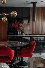 20 m2 ogródek | duży salon, rozkładowe| 500metrów do Parku Skowroniego