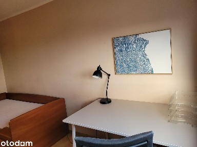 Umeblowane dwupokojowe mieszkanie z osobną kuchnią.