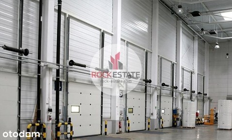 Podnajem na 2 lata - magazyn 3900 m2 Annopol