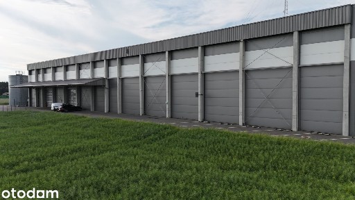 Mroźnia, chłodnia i magazyn 6000 m²,wys. 14m węzeł A2 