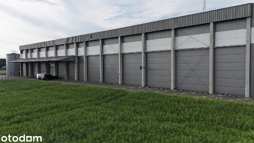Mroźnia, chłodnia i magazyn 6000 m²,wys. 14m węzeł A2 
