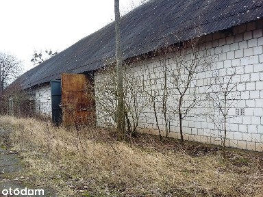 Hala/Magazyn, 1 200 m², Niemieczkowo