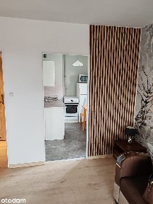 Mieszkanie 1-pokojowe z balkonem w Opolu
