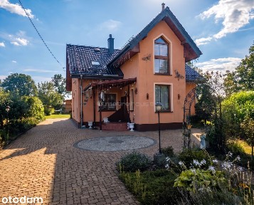 Dom z gotowym biznesem-plantacja borówki