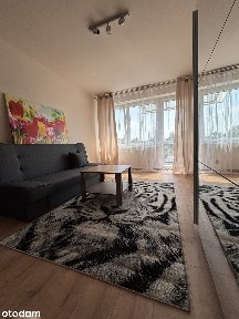 Słoneczne mieszkanie po remoncie do wynajęcia od zaraz