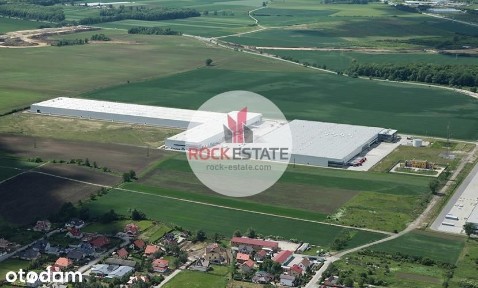 Magazyn 3482 m2 Bielany Wrocławskie - 0% prowizji
