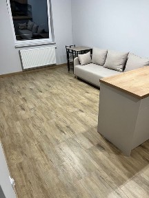 wynajmę mieszkanie, dwa pokoje, blisko centrum, Kraszewskiego