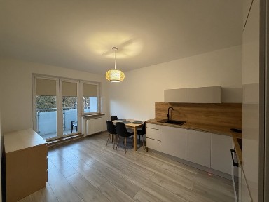 Wynajme mieszkanie 50 m Poznan ul. Potockiej 51