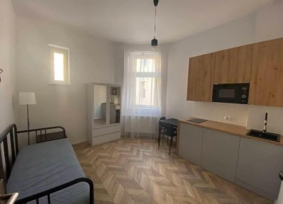 Kawalerka - ścisłe centrum Poznania