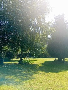 Dom na sprzedaż