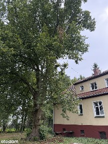 Poniemiecki dom z potencjałem - 172 m², duża działka 27 arów