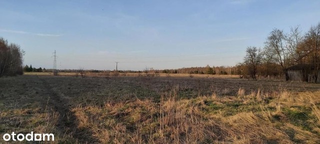 Siedlisko - spokojna wieś w przepięknej okolicy!