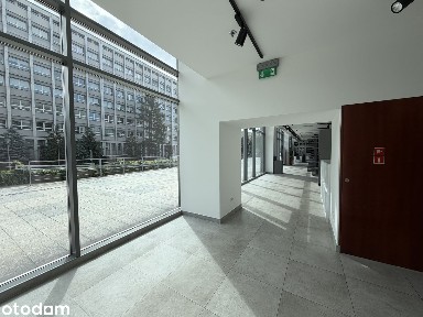 ATRAKCYJNY LOKAL Z WITRYNĄ | 300 M2 | parter, Centrum