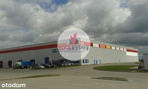 Magazyn 6 tyś. m2 k. Poznania - 0% prowizji
