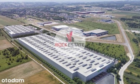 Magazyn na wynajem 2 tyś. m2 Rzeszów - 0% prowizji