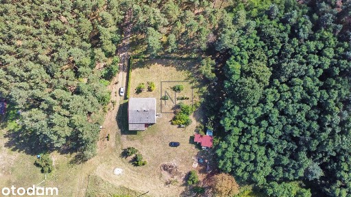 Siedlisko otoczone lasem działka 4500 m2.
