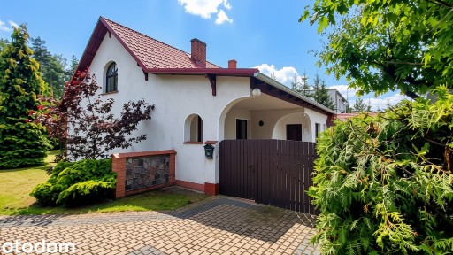 Dom i duża działka w Borach Tucholskich