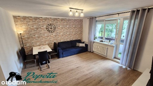 Trzypokojowe z dużą piwnicą! Po kapitalnym remoncie. Blisko Malty!